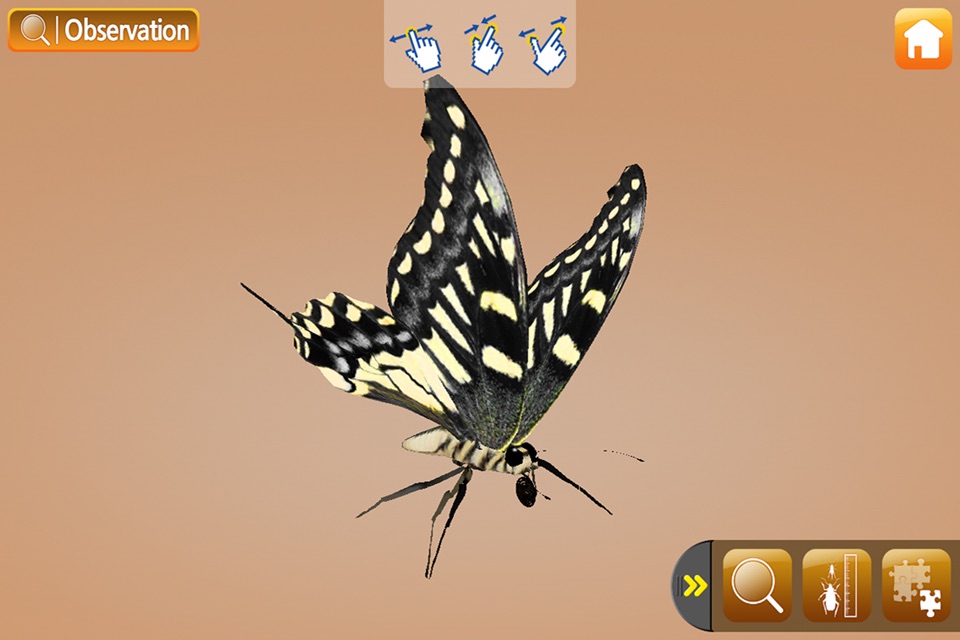 EVO BUG - Augmented Reality screenshot 3