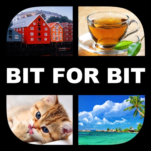 What´s the pic - Bit for bit - på Norsk icon