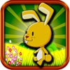 Cute Baby Animals Fun Run in Jungle