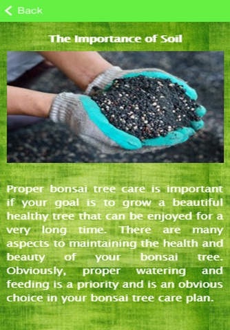 Bonsai Tree Care Guide screenshot 3