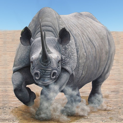 Wild Rhino City Destroyer iOS App