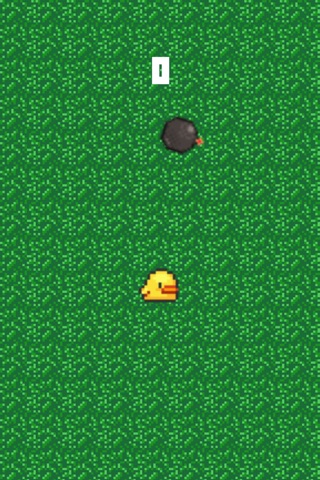 Bomb Birdy - EndLess Arcade Blocker Game screenshot 3