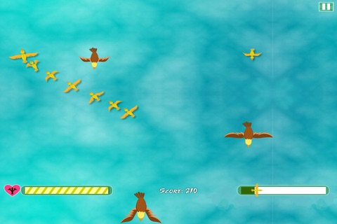 Bird Leader Classic screenshot 2