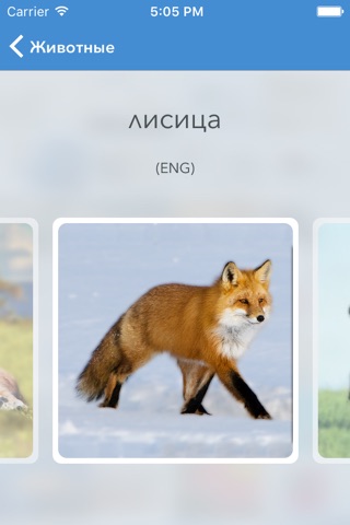 Visual dictionary EN-RU screenshot 3