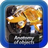 Anatomy of Objects