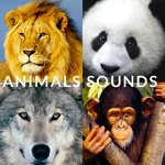 動物園動物的聲音 - 與動物交談，為成人和兒童的有趣的應用程序