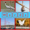 Guess the word 4 Pictures