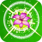 Flower Mania Match Puzzle Blossom