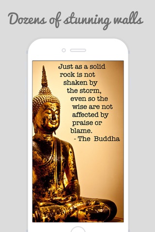FREE Buddha Quote For Success | HD Quote Pictures screenshot 4