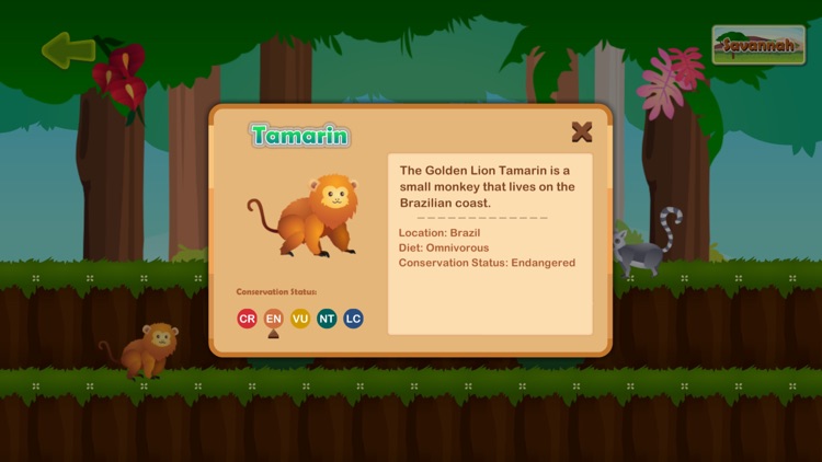 Save the Animals: Coding Game screenshot-4