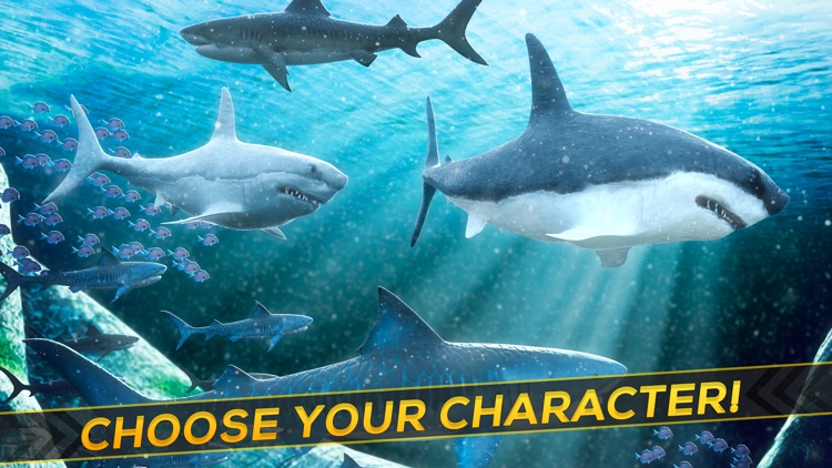 World of Sharks  Fun Deep Sea Shark Simulator Game For Free by