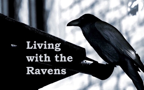 Ravens at the Tower screenshot 3