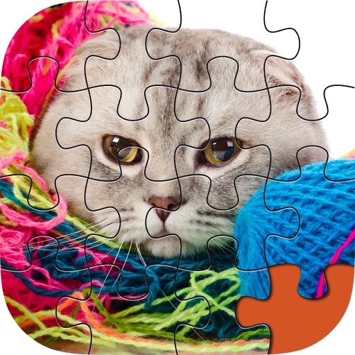 Animal Jigsaw Pro - Endless Thinking Puzzles Adventure 4 Kids And Adults Icon