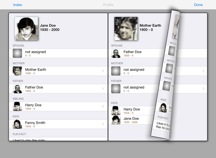 Build Your Family Tree HD screenshot-3