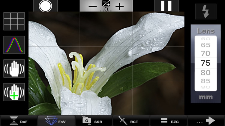 SetMyCameraDF
