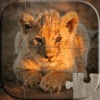 Cute Baby Animals Puzzle - Relaxing photo picture jigsaw puzzles for kids and adults
