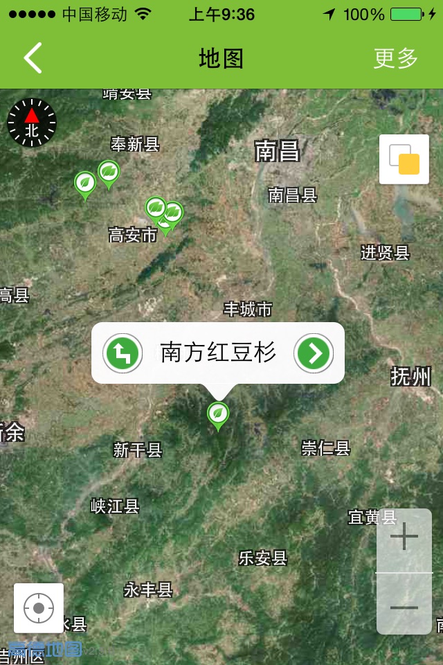 古树名木 screenshot 3