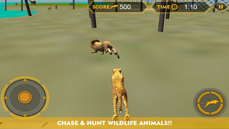 Wildlife cheetah Attack simulator 3D – Chase the wild animals, hunt them in this safari adventure