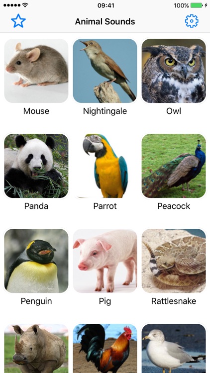 Animal Sounds Voice Effects Simulator for Toddler screenshot-3