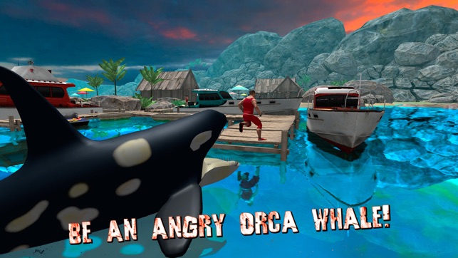 Angry Killer Whale Orca Attack(圖1)-速報App