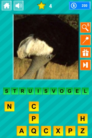 Close-up & Words - Animals Edition screenshot 4