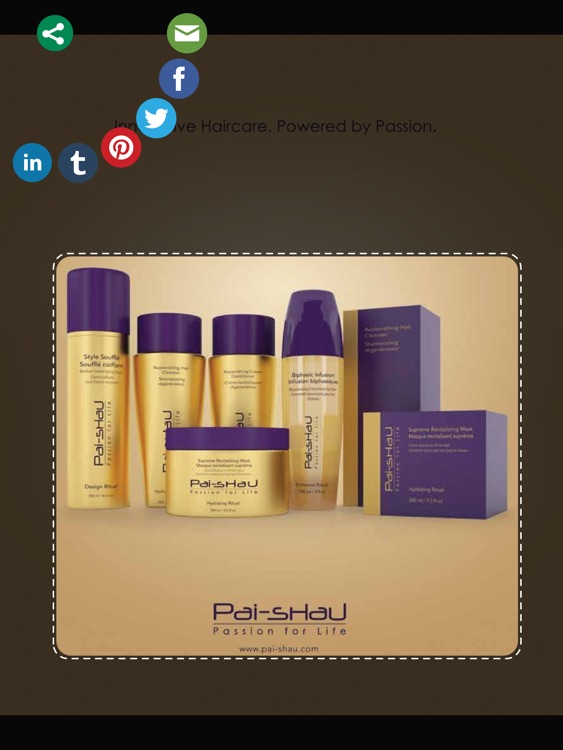 Behindthechair.com screenshot-4