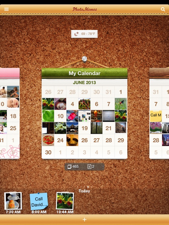 PhotoMemes for iPad