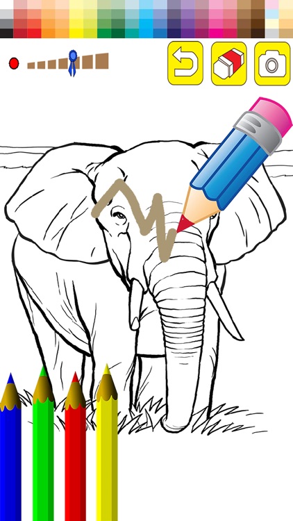 Exercise Painting and Coloring Elephant Animal for Preschool