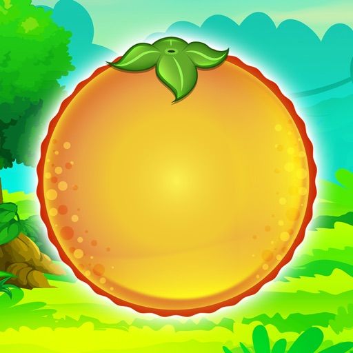Same Fruits Icon
