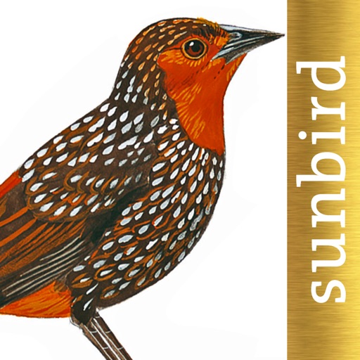 All Birds Northern South America - a field guide to all the species recorded in Ecuador, Colombia, Guiana, Peru, Venezuela