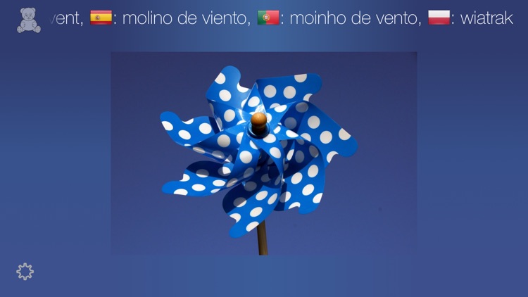 First Words - A Multilingual Picture Book
