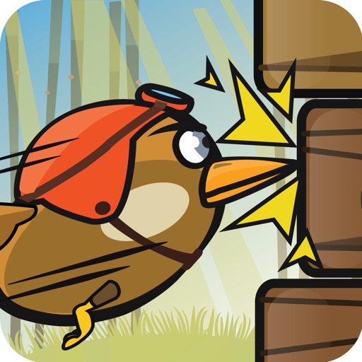 WoodPecker : Bird Dash iOS App