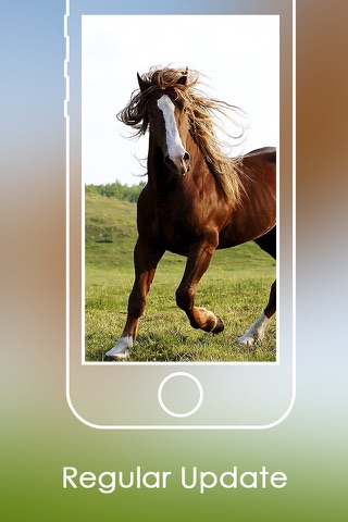 FREE Horse Catalog | Best Horse Breeds Collections screenshot 2