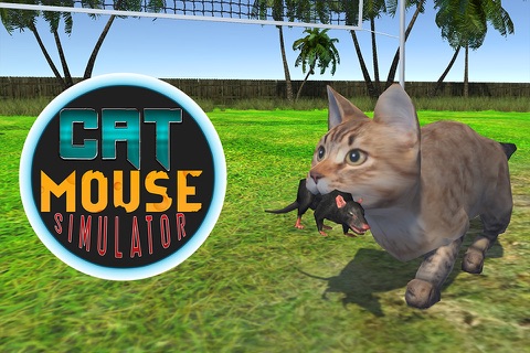 Kitten Cat Simulator 2016: Best pet simulation of mouse and cat game for kids screenshot 2