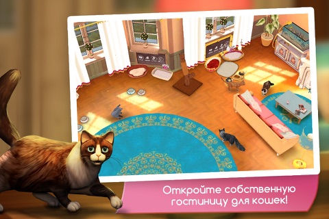CatHotel - Care for cute cats screenshot 2