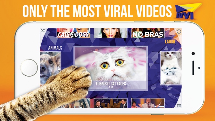 ivvi™ - Ultimate Video Discovery Guide