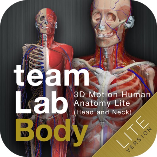 teamLabBody -3D Motion Human Anatomy Lite (Head and Neck)-