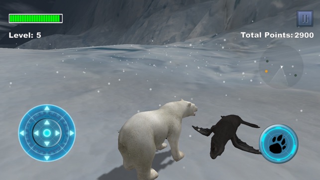 Arctic Polar Bear(圖5)-速報App