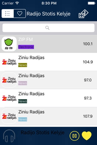 Lithuania Radio Player (Lithuanian / Lietuva / lietuvių kalba radijo) screenshot 4