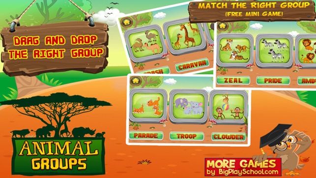 Animal Groups - Learn Animals(圖3)-速報App