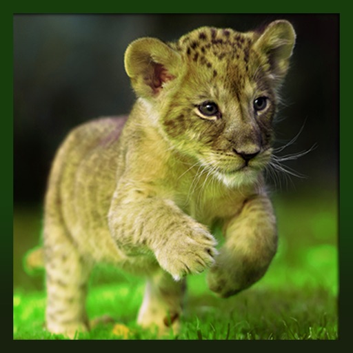Ultimate Lion Cub City Attack Sim Icon