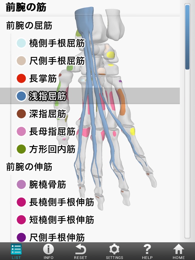 3d筋肉図鑑 をapp Storeで