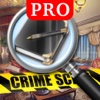 The Secret Diary Mystery Pro : Hidden Object find hide clue solve mystery scene