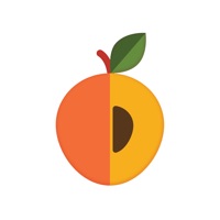 Peach  Pit - Journal - Diary - Memories