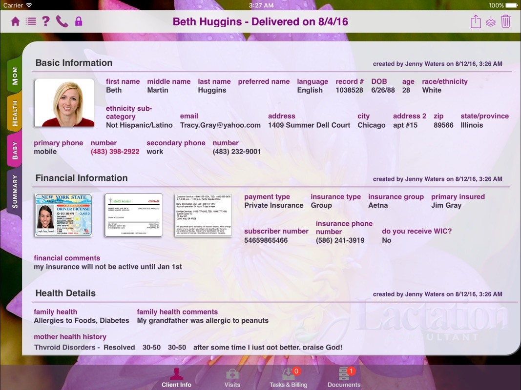 Lactation Consultant Charting Software