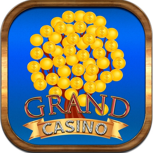 Wild Casino Best Money Flow - Free Slots Machines iOS App