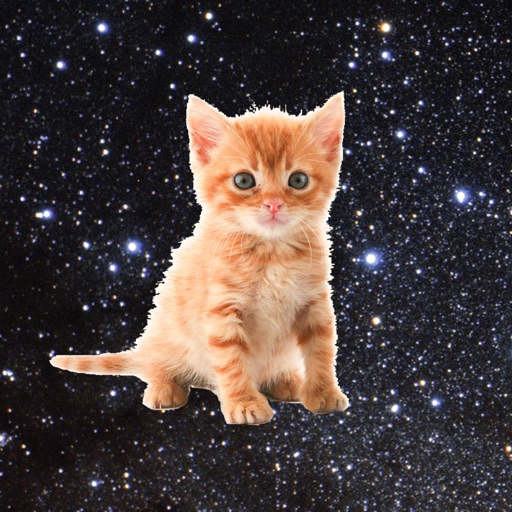 Space Kitties - funny game that makes you save kittens by tapping