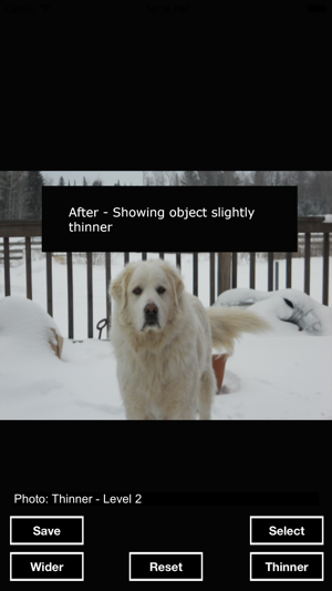 LittleThinner - Make any photo object thinner and skinnier.(圖2)-速報App