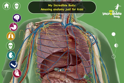 My Incredible Body - Guide to Learn About the Human Body for Children - Educational Science App with Anatomy for Kids screenshot 2