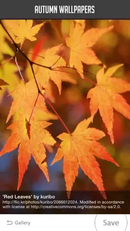 Game screenshot Autumn Wallpapers apk